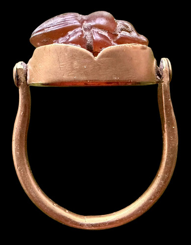 Heiliger ring des chepri - des,